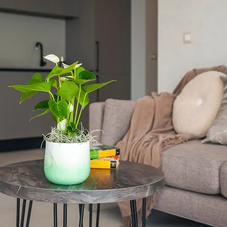 Apartment Salteria Ii *